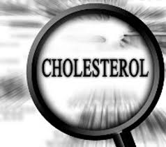 Obat Tradisional Penyakit Kolesterol Alami